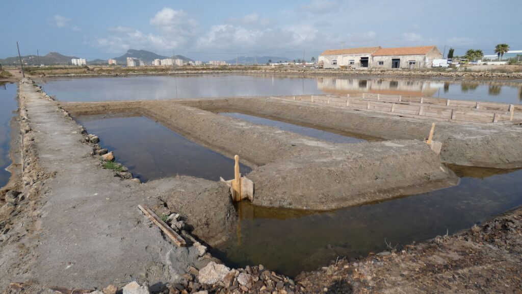 Salinas de Marchamalo