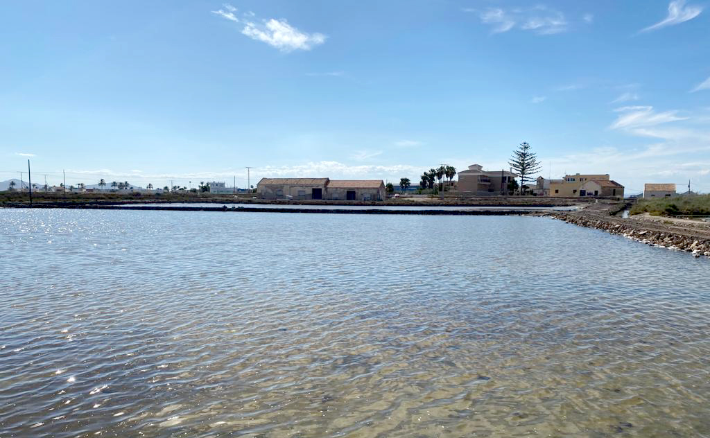 Salinas de Marchamalo